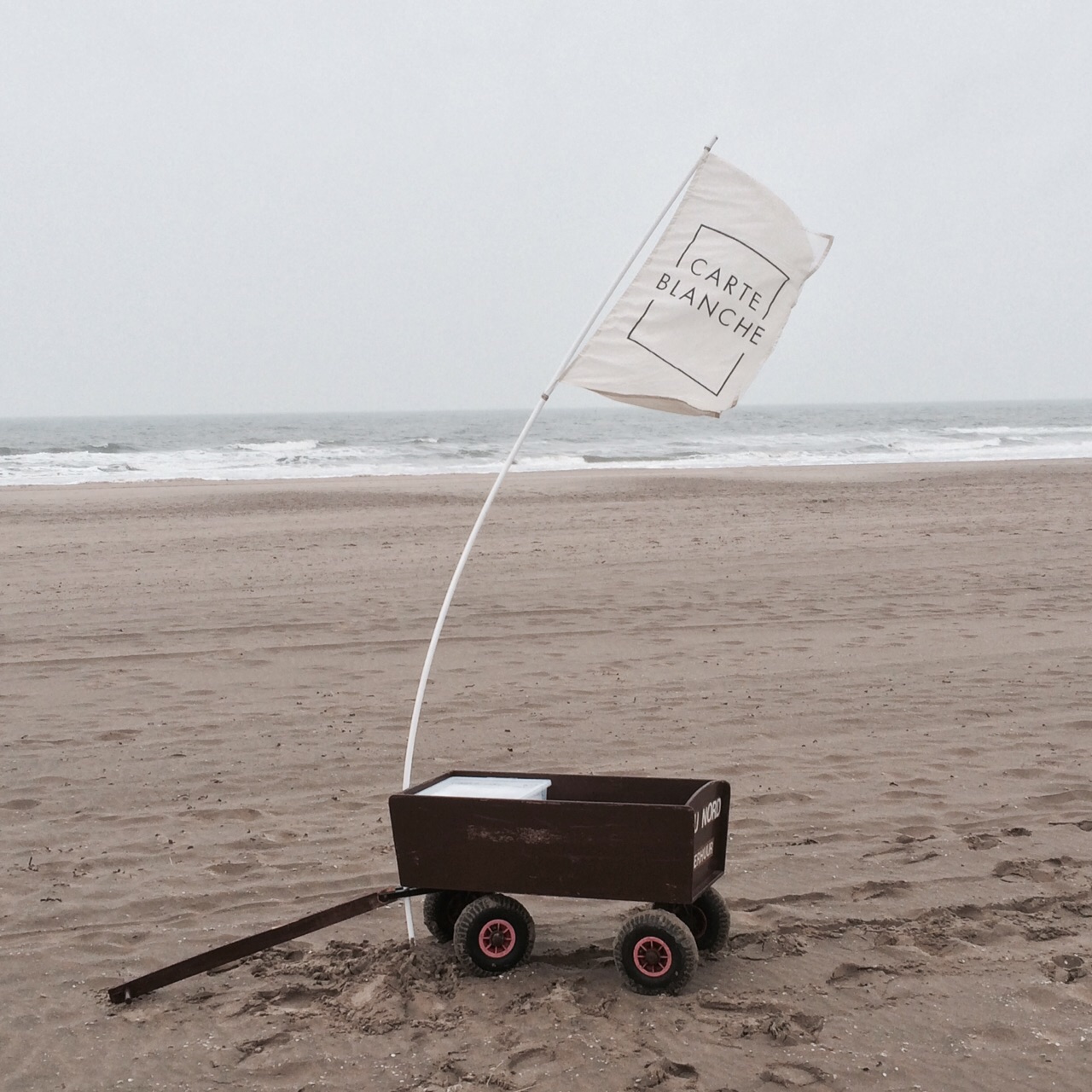 Footprints, walk & picknick | Carte Blanche | Den Haag | 2015